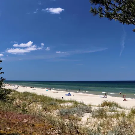 Blu Bay