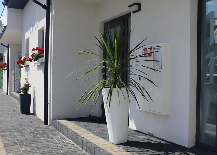 Blu Bay グジボボ