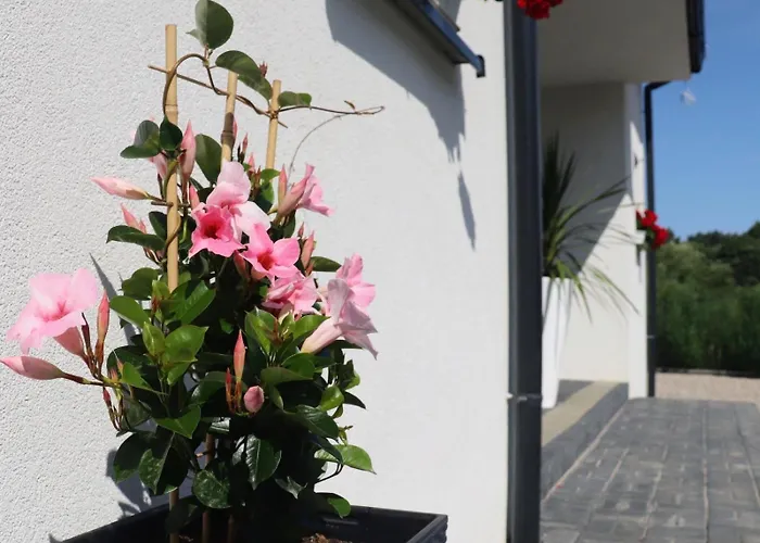 ヴィラ Blu Bay グジボボ